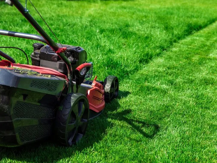 Kosiarka zwalnia? Naciągnij pasek napędu sam! Poradnik krok po kroku