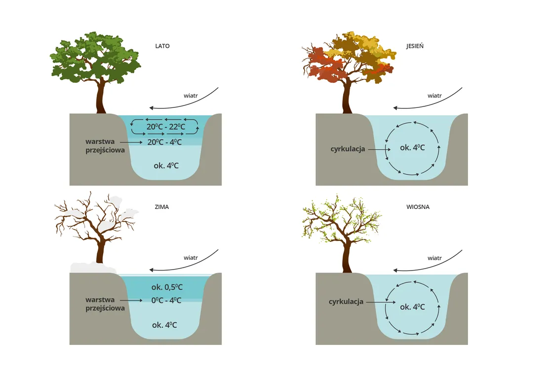 Jak długo kwitnie woda w jeziorze? Czas trwania i wpływ na ekosystem