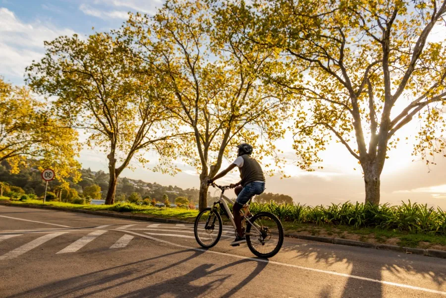 Najlepsze trasy rowerowe w Rzeszowie - odkryj piękne szlaki
