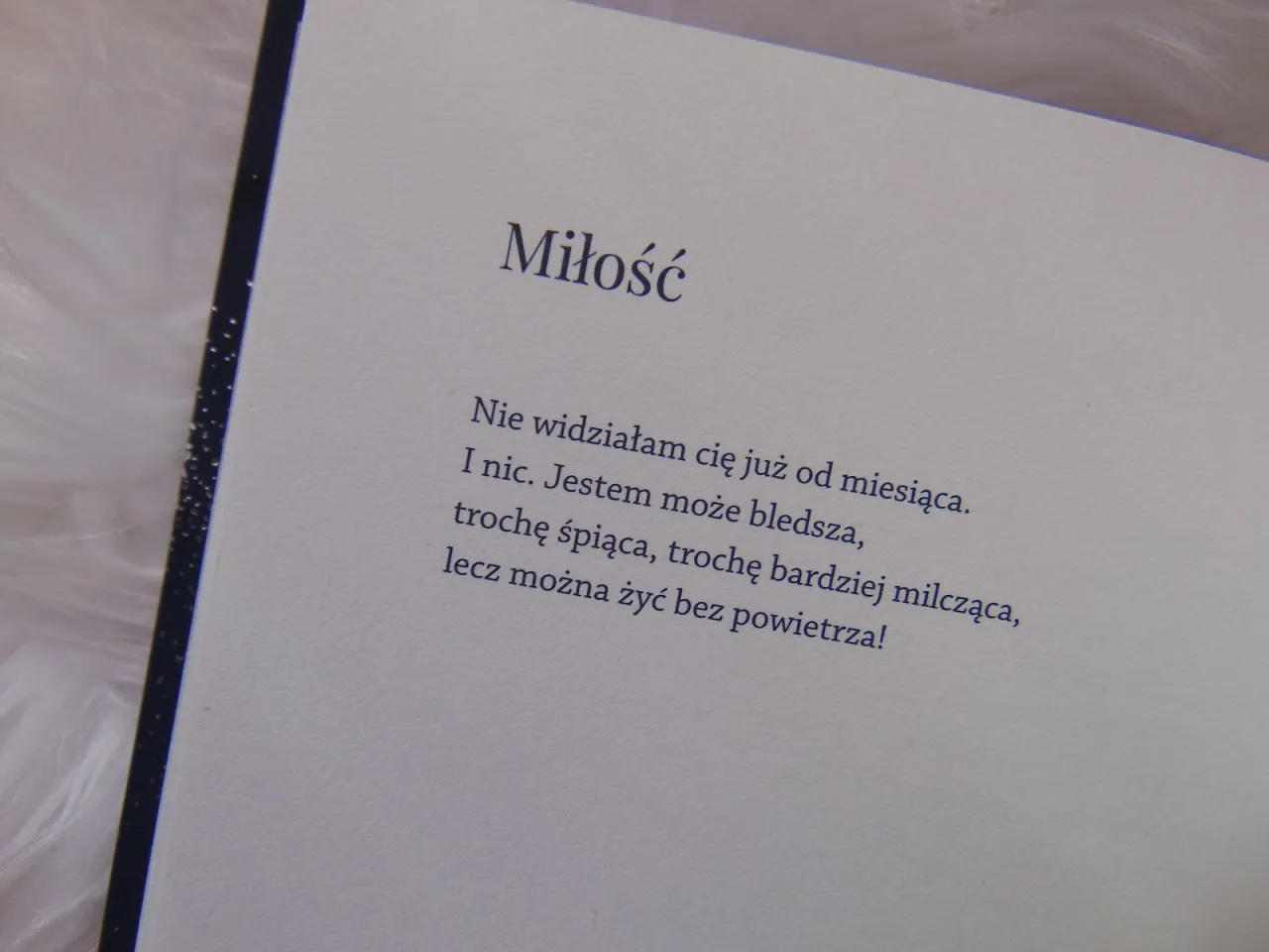 Najpiękniejsze wiersze o miłości: klasyka i współczesność