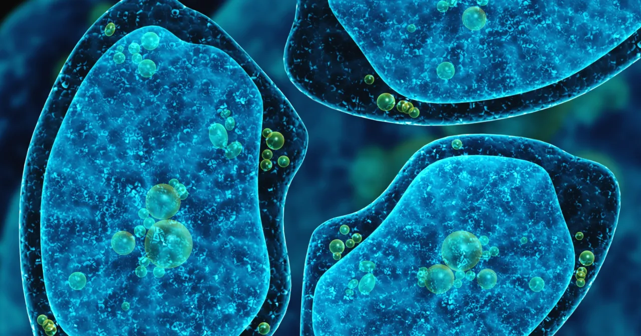 Ameba czym się żywi - zaskakujące fakty o jej diecie i strategiach