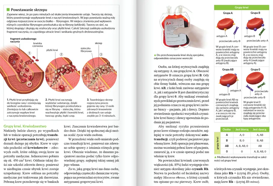 Jak Nauczyc Sie Na Sprawdzian Z Przyrody nawawelu.pl