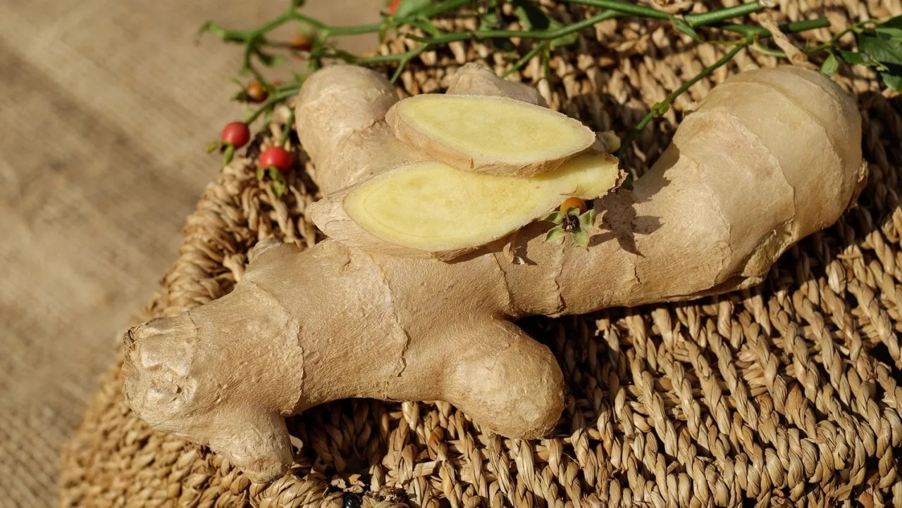 Imbir w doniczce: Uprawa krok po kroku świeży imbir w domu!