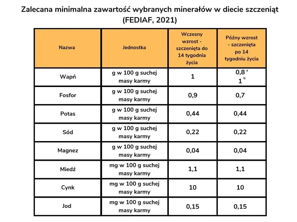 Co ile karmić szczeniaka? Harmonogram i błędy, których unikniesz