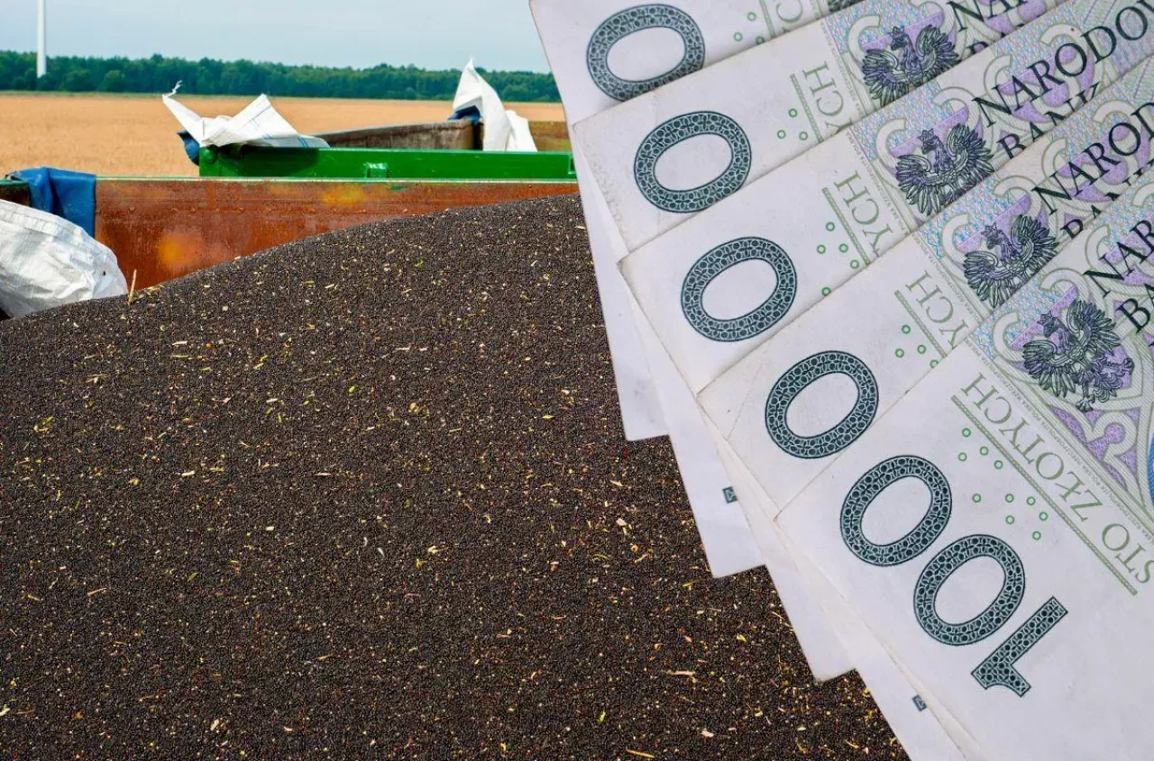 Ile płacą skupy nieruchomości? Sprawdź, co wpływa na ceny sprzedaży