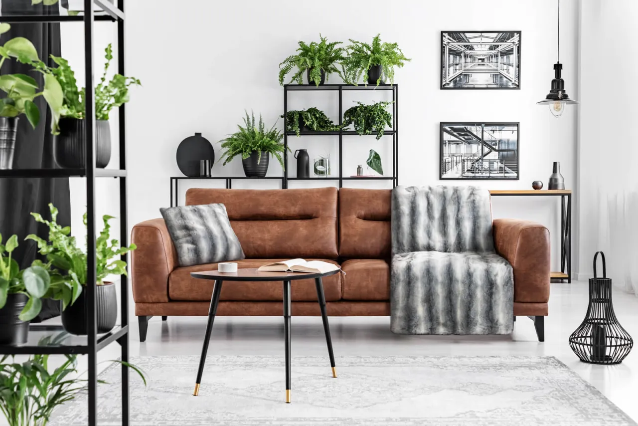Czym nakryć skórzaną kanapę, aby chronić i stylowo ozdobić wnętrze?