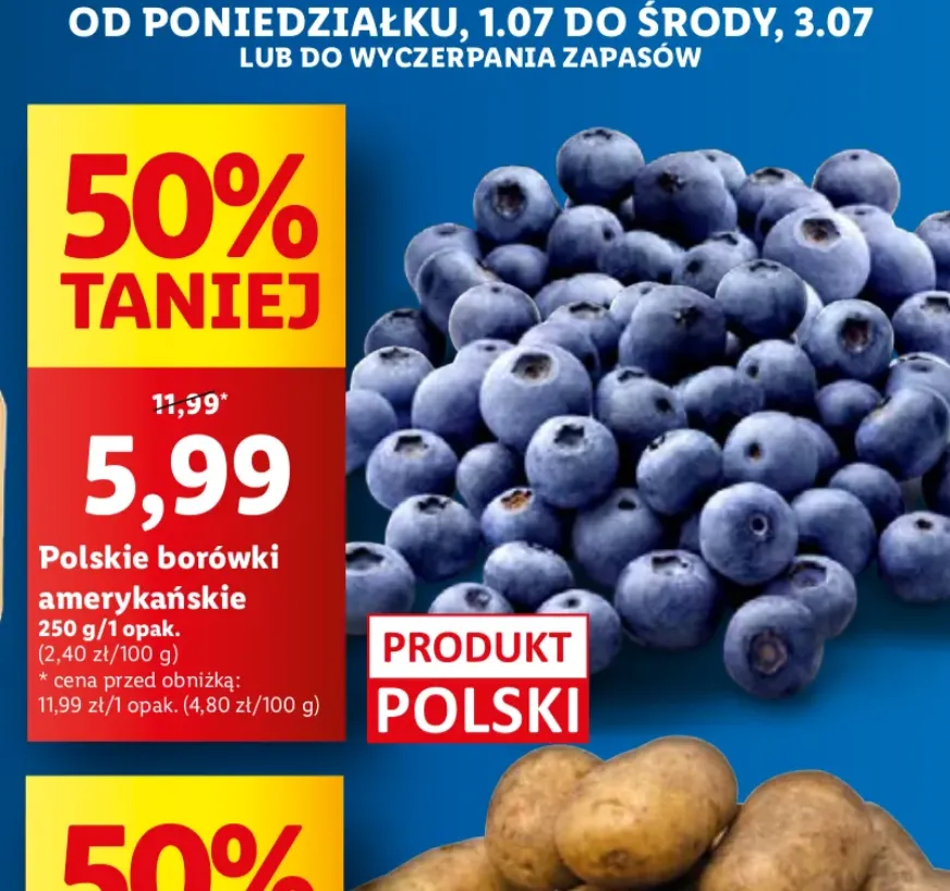 Kiedy sezon na borówki w Polsce? Daty, ceny, gdzie kupić!