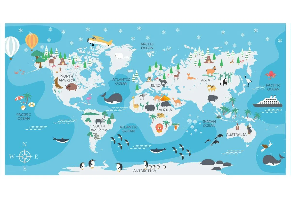 Ile jest oceanów? Poznaj 5 oficjalnych oceanów świata