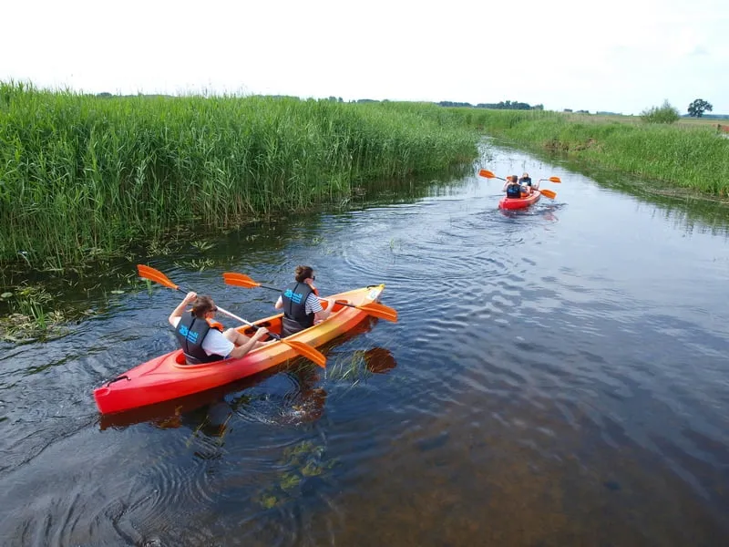 Najlepsze spływy kajakowe na Biebrzy: trasy, ceny i porady dla początkujących