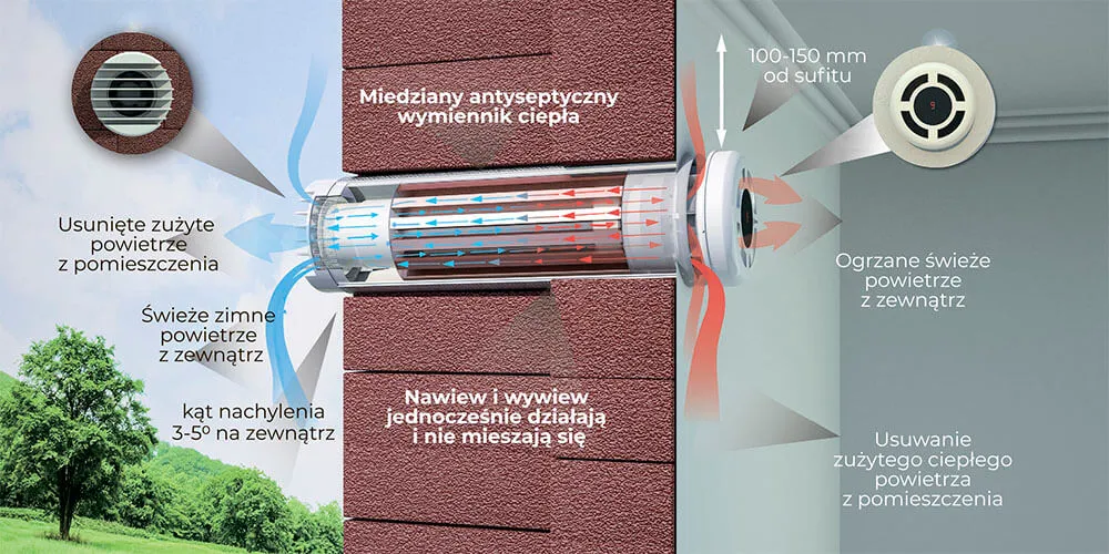 Jak zrobić wentylację w starej łazience, aby uniknąć wilgoci i pleśni