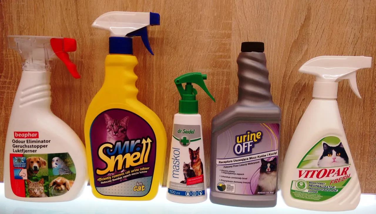 Jak usunąć zapach moczu kota z podłogi - skuteczne metody i porady