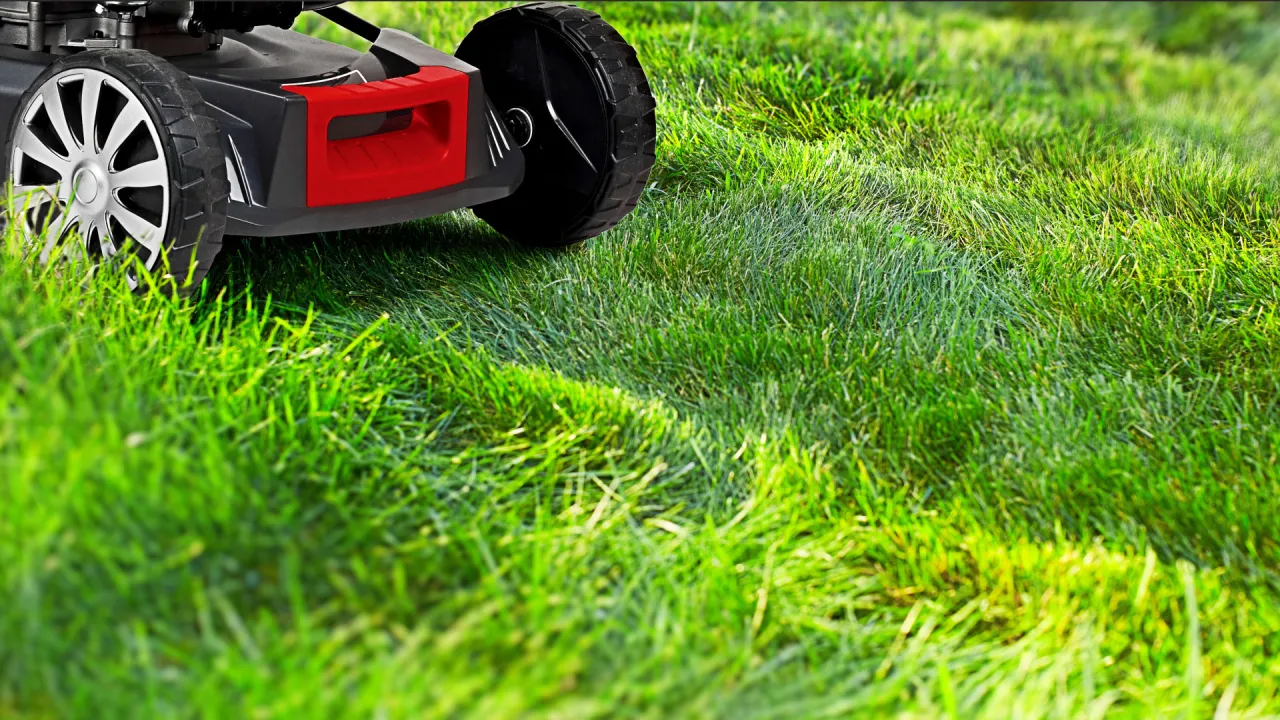 Co to jest mulczowanie w kosiarce i jakie ma korzyści dla trawnika