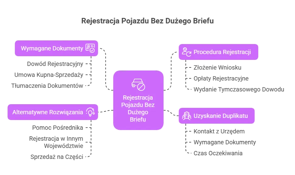 Co jest potrzebne do rejestracji samochodu? Wszystkie dokumenty i procedury krok po kroku