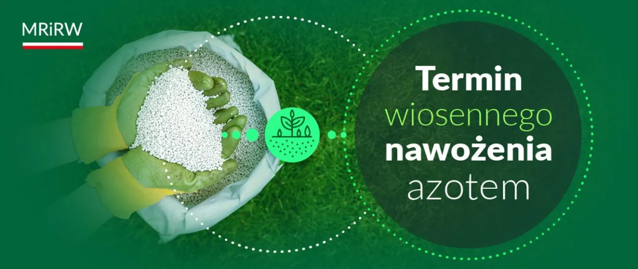 Kiedy można siać nawozy azotowe wiosną? Sprawdź kluczowe warunki