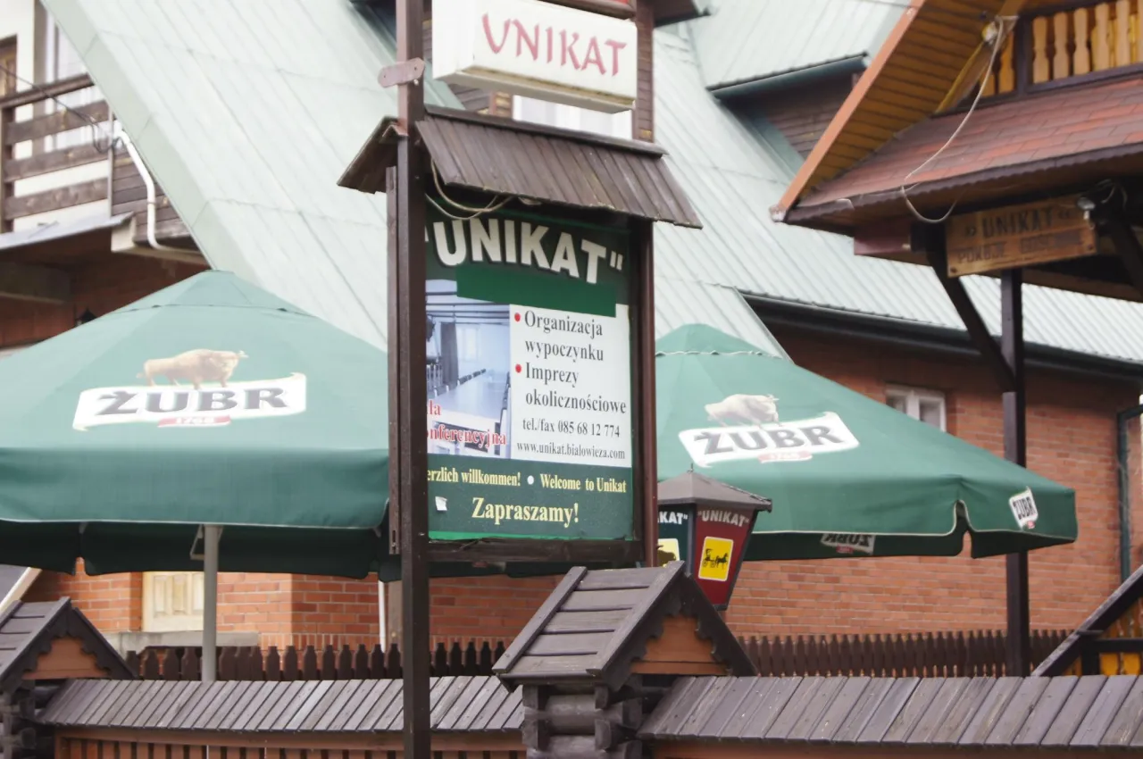 Białowieża gdzie zjeść? Odkryj najlepsze lokalne restauracje