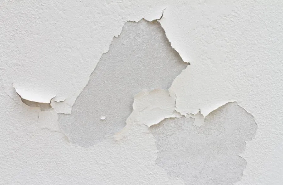 Najpierw grunt czy szpachla - jak uniknąć błędów w malowaniu