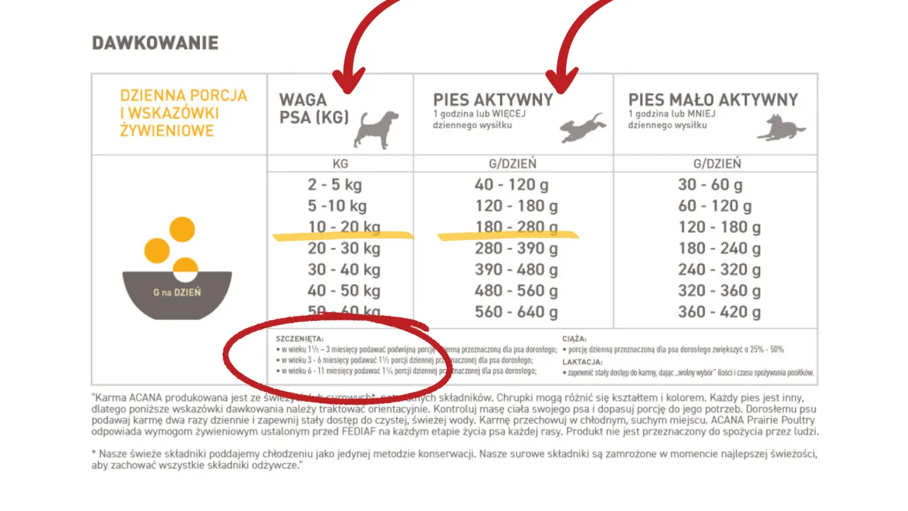 Ile karmy dla szczeniaka? Precyzyjne dawkowanie krok po kroku