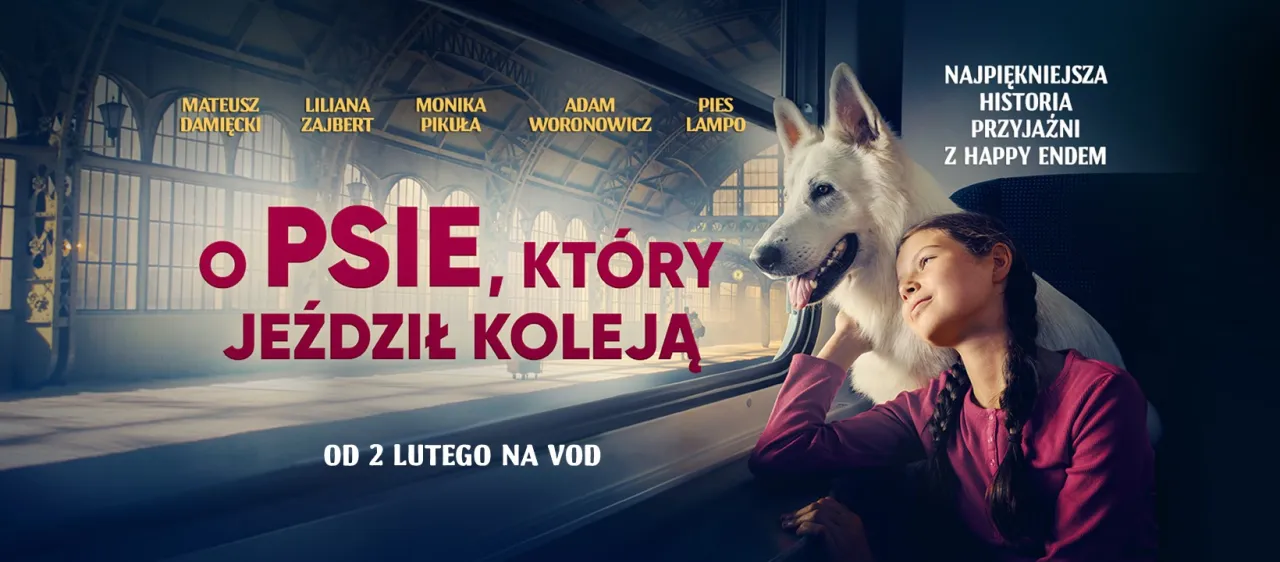 "O psie, który jeździł koleją": Gdzie obejrzeć online? Przewodnik VOD