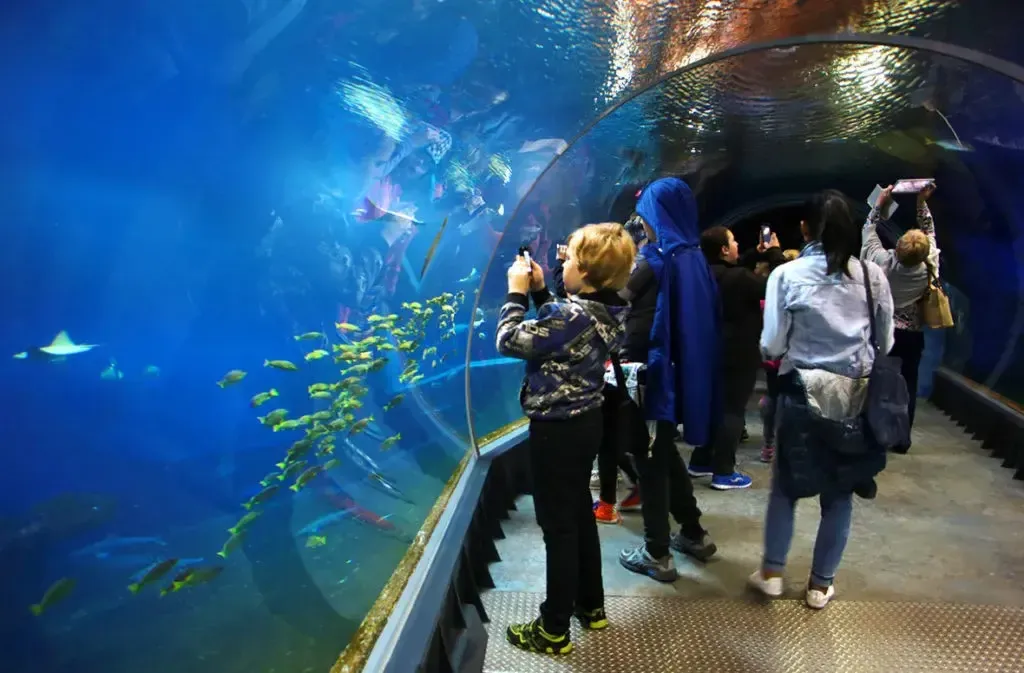 Oceanarium Wrocław godziny otwarcia – uniknij rozczarowania podczas wizyty
