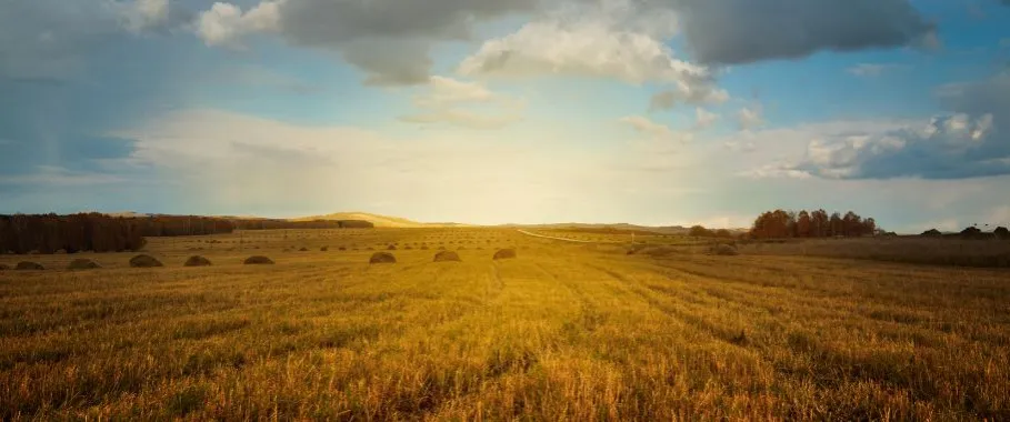 Czy można zasiedzieć grunty skarbu państwa? Sprawdź zasady i ograniczenia