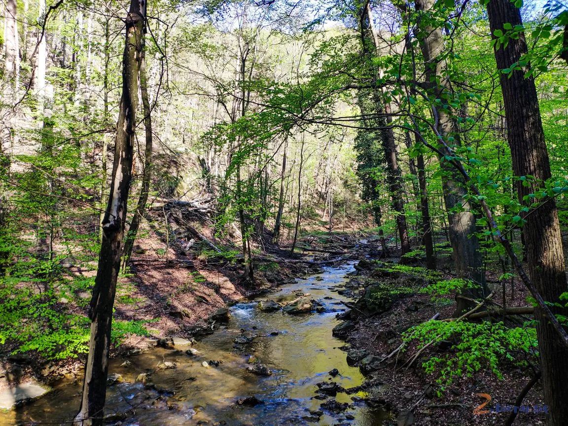 Rezerwat Pełcznica: Przełomy pod Książem przewodnik po skarbach