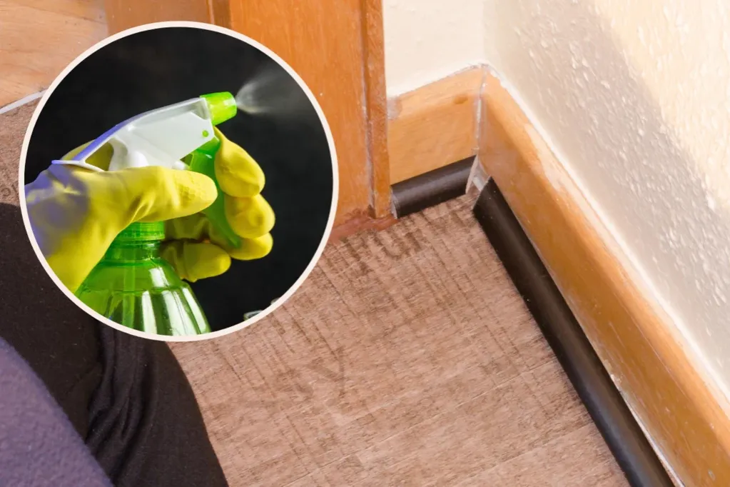 Jak czyścić listwy przypodłogowe, aby uniknąć kurzu i alergenów