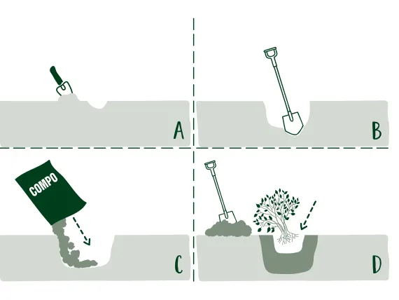 Jak prawidłowo mieszać kompost z ziemią, aby poprawić jakość gleby