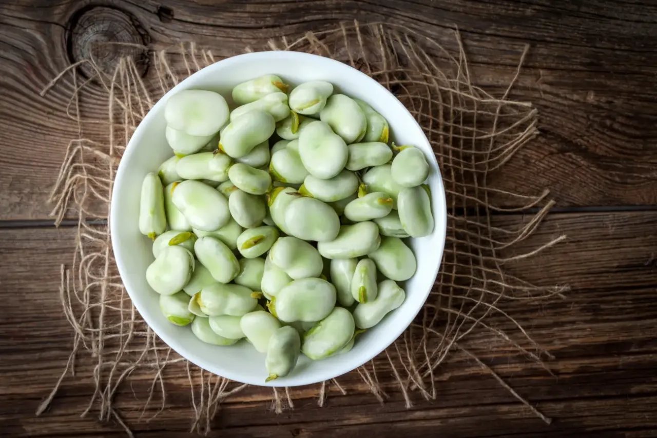 Jakie właściwości ma bób? Korzyści zdrowotne boba dla zdrowia i diety