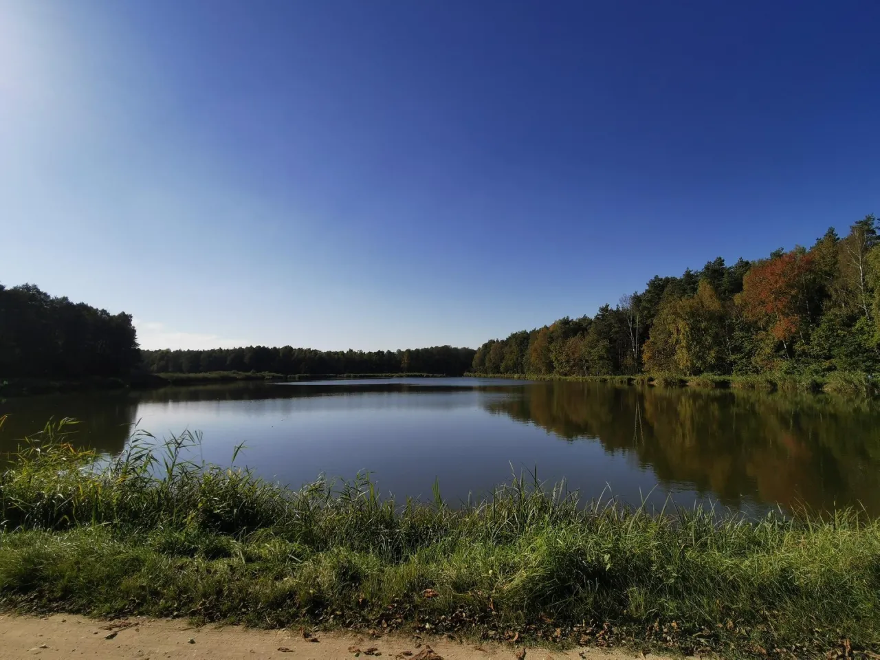 Najlepsze atrakcje w Tarczynie, które musisz zobaczyć i przeżyć