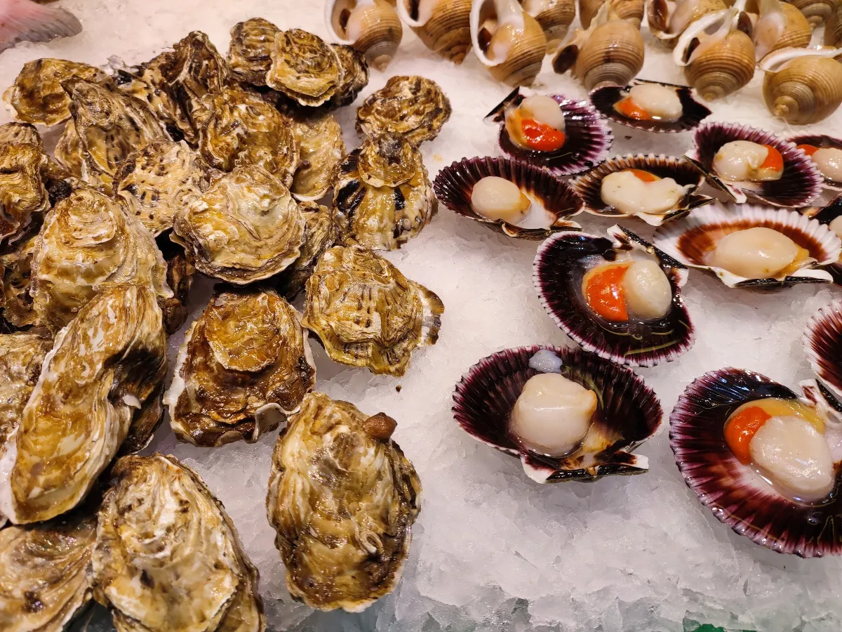 Gdzie zjeść w Maladze: najlepsze miejsca na lokalne smaki i owoce morza