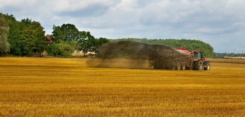 Mocznik nawóz ile na hektar: Jak uniknąć błędów w nawożeniu?