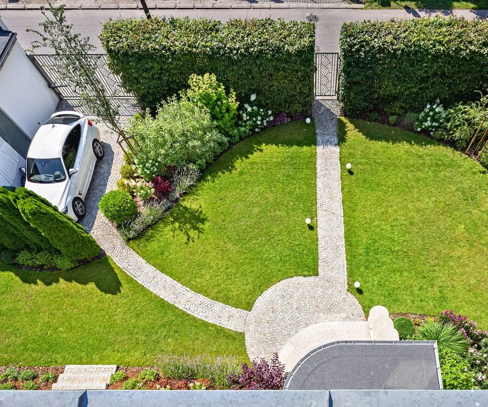 Jakie krzewy posadzić wzdłuż chodnika, by uniknąć problemów z pielęgnacją?