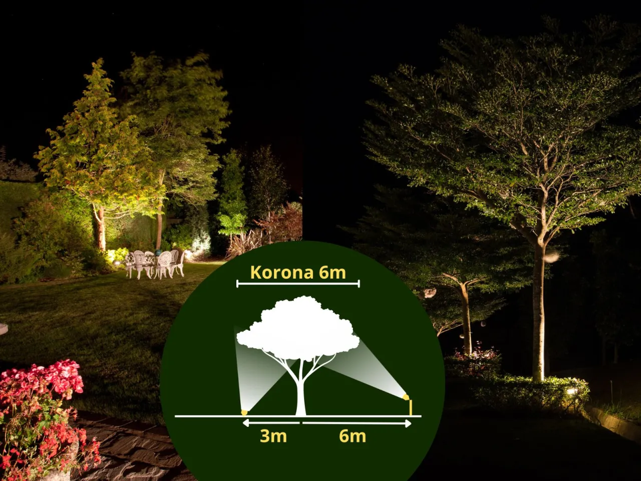 Jak oświetlić drzewa w ogrodzie, aby stworzyć magiczną atmosferę