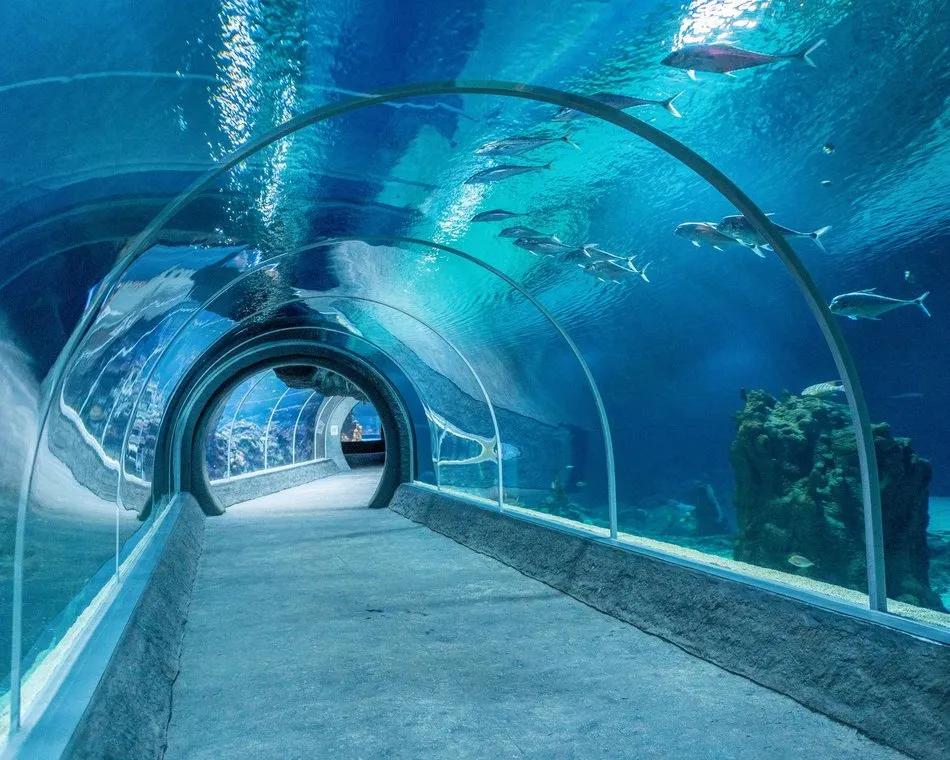Oceanarium Łódź - Fascynujące atrakcje i unikalne doświadczenia
