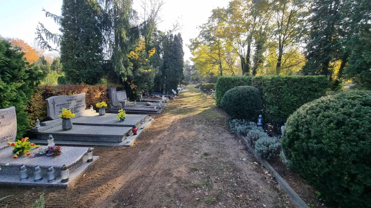 Poznań: Jak znaleźć grób bliskich? Wyszukiwarka cmentarna krok po kroku