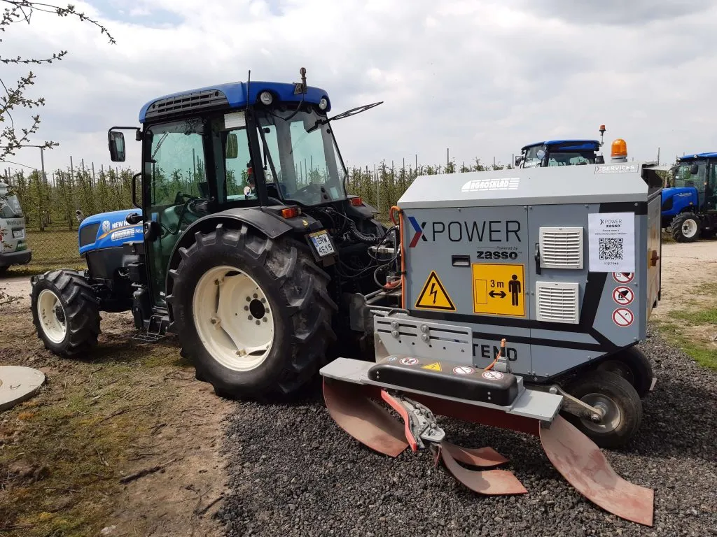 Zwalczanie chwastów polnych: Od identyfikacji do czystych upraw