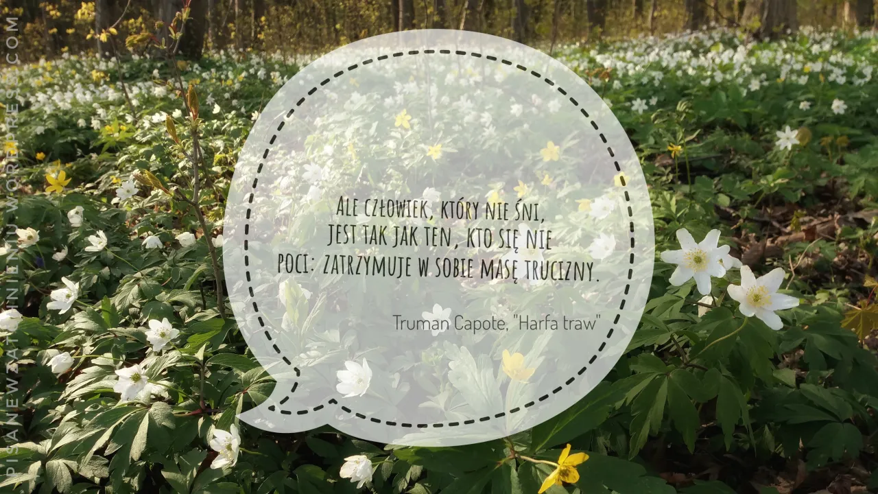Kto napisał "Harfę traw"? Truman Capote geniusz i skandalista. Kto napisał "Harfę traw"? Truman Capote geniusz i skandalista.