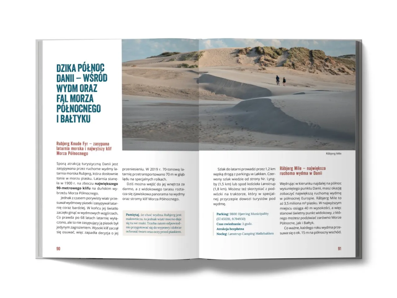 Co przywieźć z Danii? Pamiątki, design i smaki [Przewodnik]