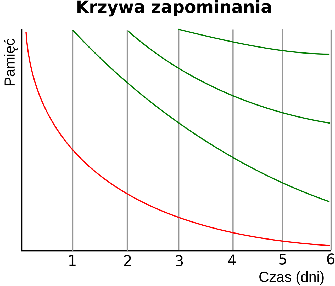 Jak najlepiej uczyć się słówek i uniknąć zapominania ich na zawsze