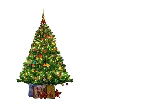 Jak się pisze choinka? Odkryj poprawną ortografię i znaczenie