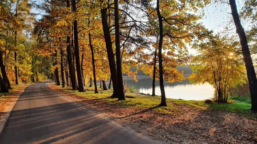 Jezioro Trzechowskie: Odkryj tajemnice i atrakcje tego miejsca Jezioro Trzechowskie: Odkryj tajemnice i atrakcje tego miejsca