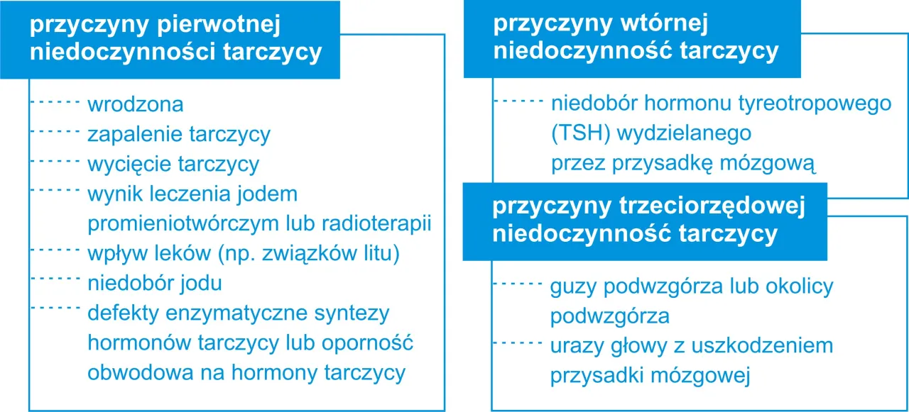 Niedoczynność tarczycy przyczyny: Co może prowadzić do problemów?