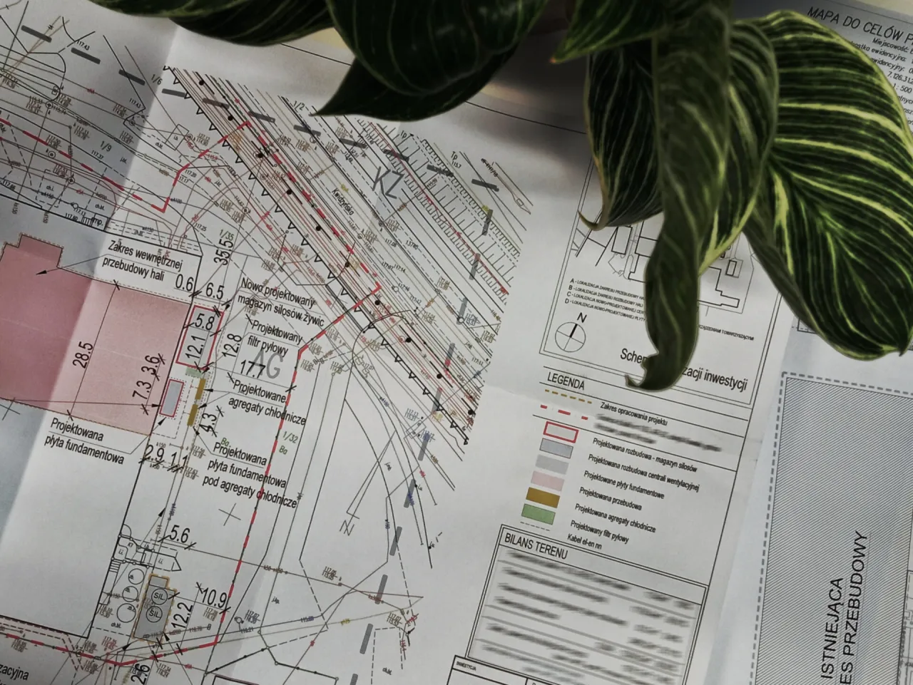 Jak zdobyć projekt zagospodarowania działki - kluczowe informacje i źródła