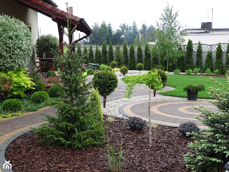 Piękne drzewka ozdobne do ogrodu: Które wybierzesz dla siebie?