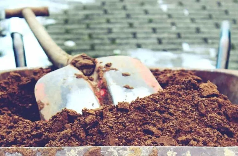 Ile taczek potrzebujesz na tonę ziemi? Sprawdź, zanim zaczniesz!