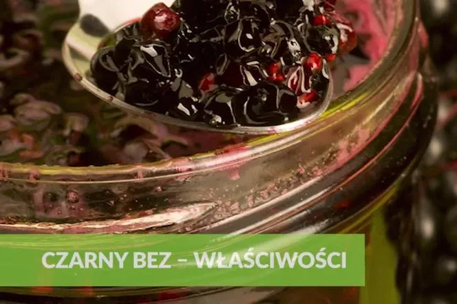 Jak zrobić herbatę z owoców czarnego bzu - prosty przepis na zdrowie