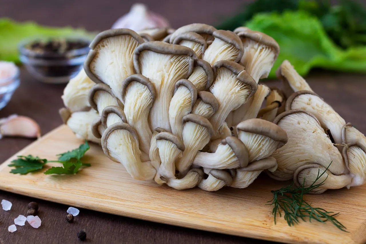 Dietetyczne boczniaki bez wyrzeczeń: Zdrowe przepisy, które pokochasz