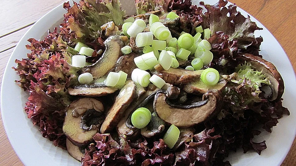 Lollo Rosso: Gesund, knackig & einfach zubereitet | Tipps & Rezepte