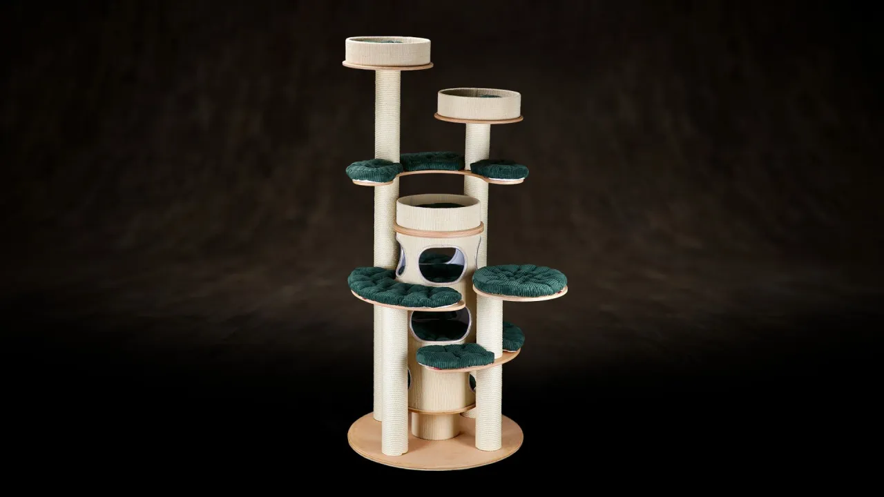 Jak zrobić plac zabaw dla kota, który zapewni mu radość i bezpieczeństwo