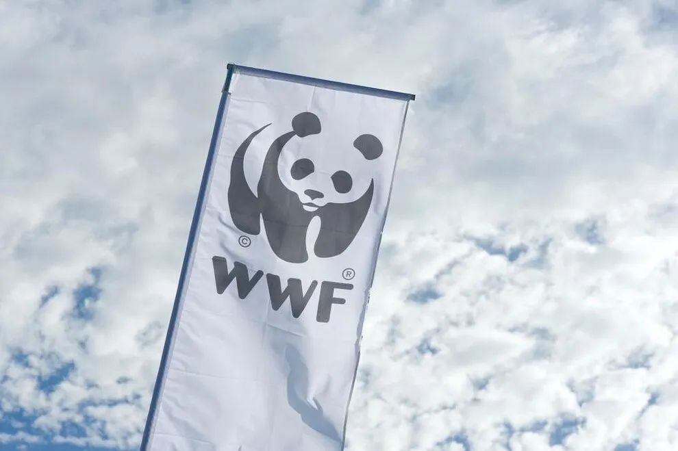 W którym roku powstało wwf? Odkryj historię organizacji i jej oddziałów